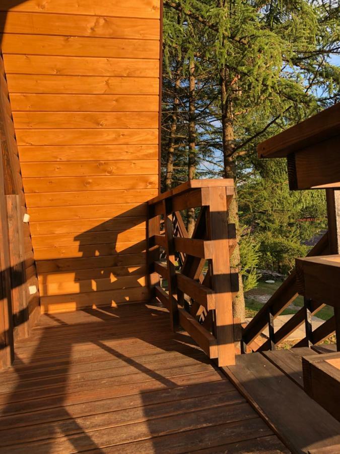 Karpatskyy Villa Rozluch Eksteriør billede